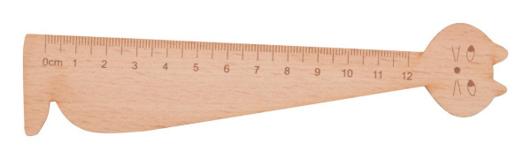wooden ruler přírodní
